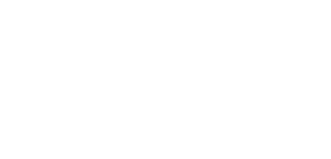 ZSTiO Meritum